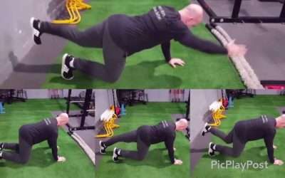 Entrenamiento Inteligente: Bird-Dog / 3 Regresiones