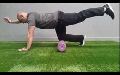 Entrenamiento Inteligente: Bird-Dog Pro
