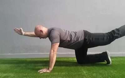 Entrenamiento Inteligente: Bird-Dog Veloz