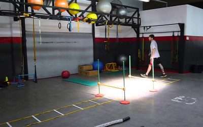 Entrenamiento en Circuito: Circuito Contínuo para MMA