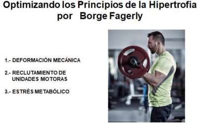 Myo Reps, la versión creada por Borge Fagerli (o Fagerly)del tradicional Rest-Pa…