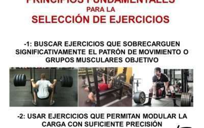 Principios Fundamentales para la Selección de Ejercicios (tanto para la ganancia…
