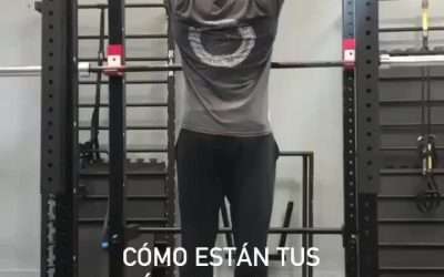 @arielcouceirogo0 Durante las Dominadas (Pull-Ups o Chin-Ups) las escápulas debe…
