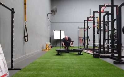 Entrenamiento Inteligente: Empuje y Tracción con Prowler