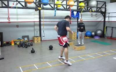 Entrenamiento en circuito: 8¨x4¨x2´