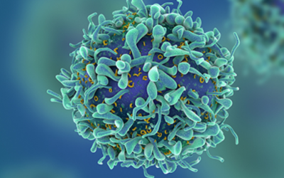 Algunos problemas con la afirmación del cáncer de caseína