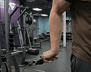Entrenamiento del antebrazo, desmitificado