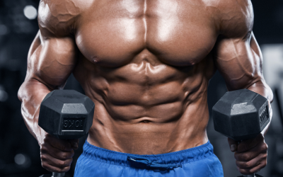 Desarrollar músculo y perder grasa simultáneamente – RP Strength