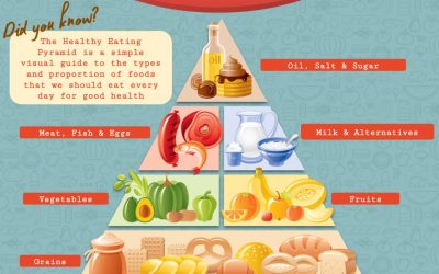 ¿Contribuyen las pautas nutricionales a la epidemia de obesidad? – Fuerza RP